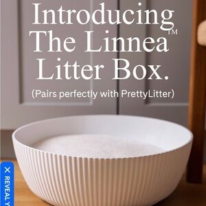 Pretty Litter Cat Bowl litters cats